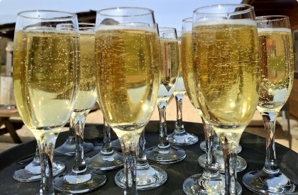 Feesten en recepties